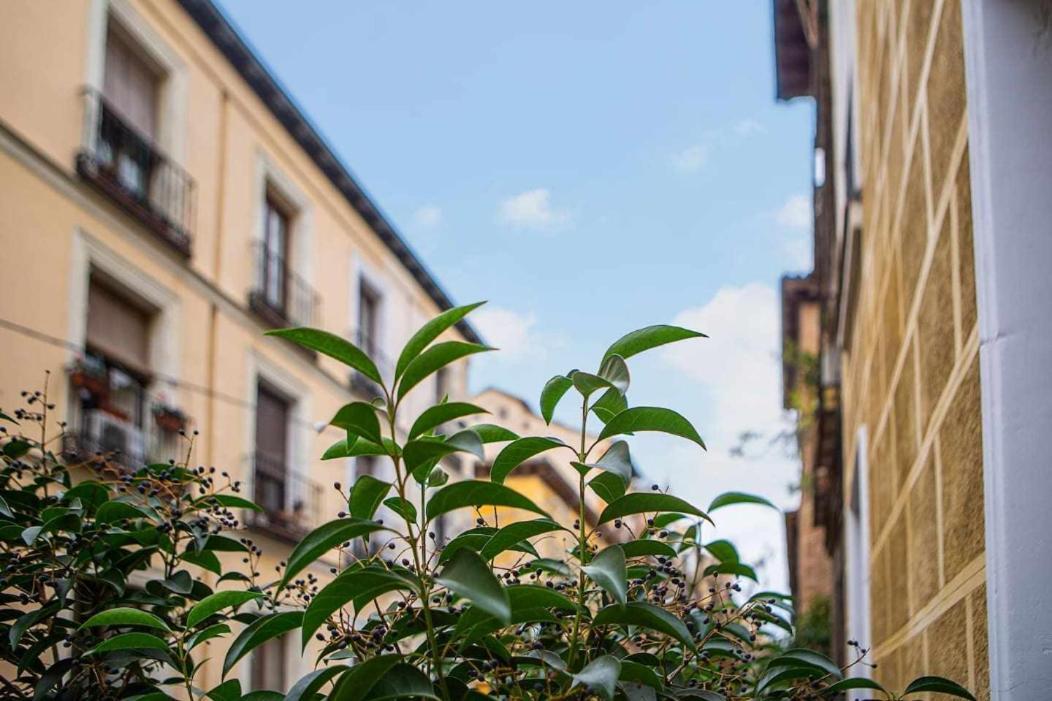 Apartment Calle Huertas Corazon By Regalatemadrid Madrid